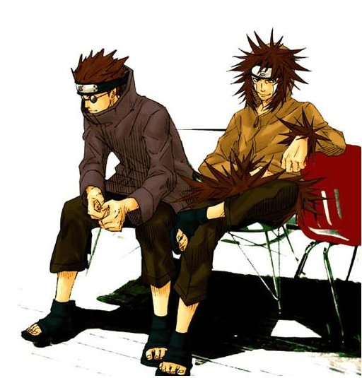 Teammates and Friends, Kiba and Shino